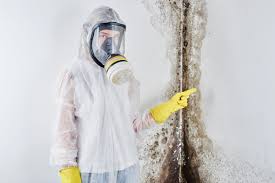 Best Forensic Mold Investigation in USA